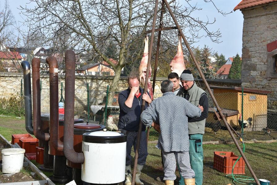 Zabijačka u bratra Timoteje v Novém Strašecí
